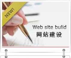 门户网站建设|北京网站建设|丰台网站建设|丰台网站改版-中青国信 - 